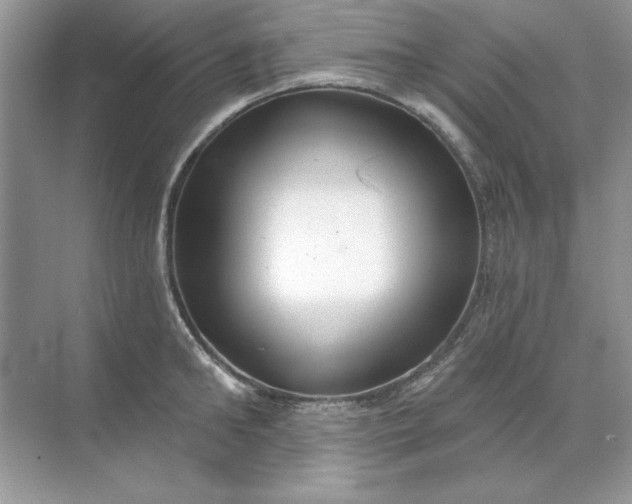 X0000071960902200607212249