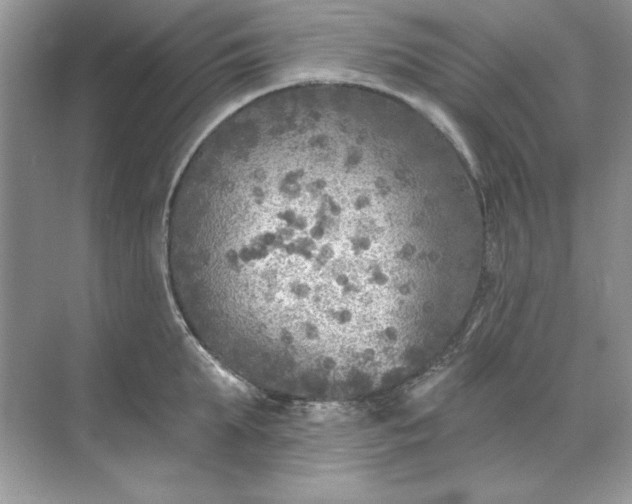 X0000071960903200607212249