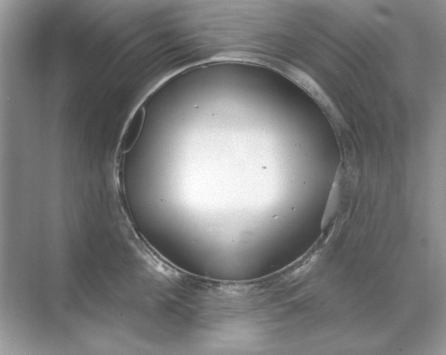 X0000071960908200607212249