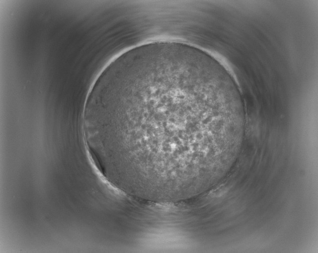 X0000071960911200607212249