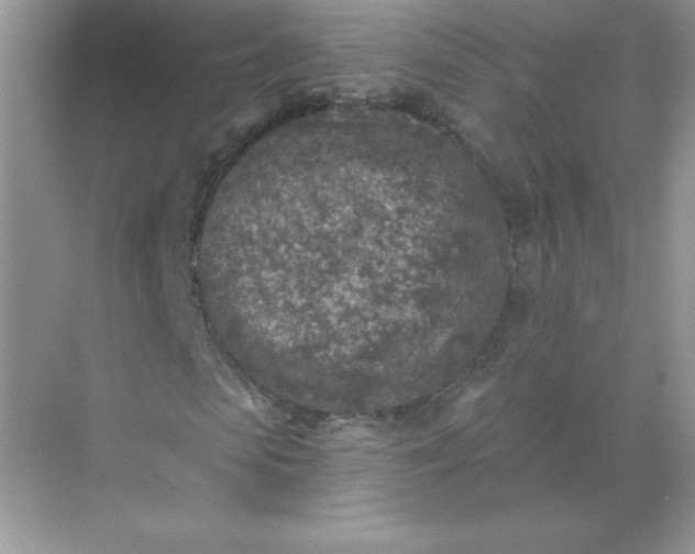 X0000071960913200607212248