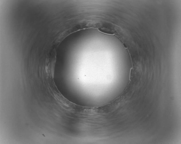 X0000071960914200607212248