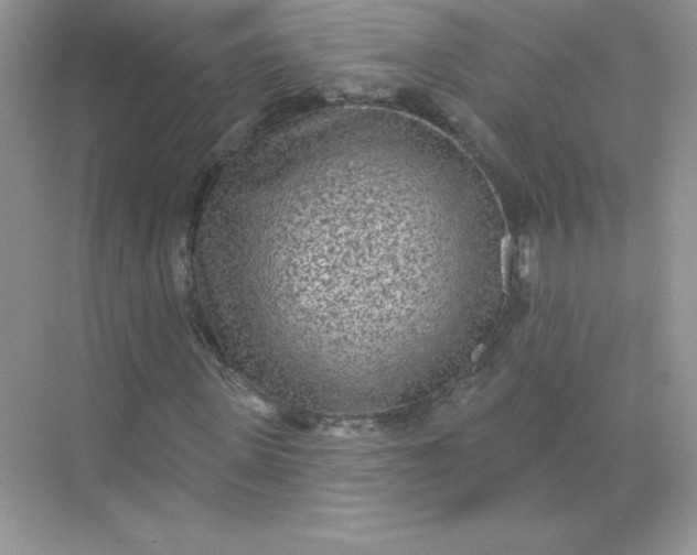 X0000071960915200607212248