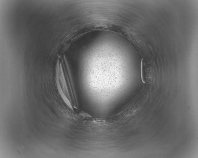 X0000071960916200607212248