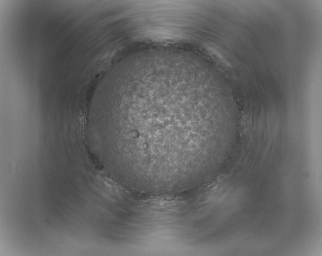 X0000071960917200607212248