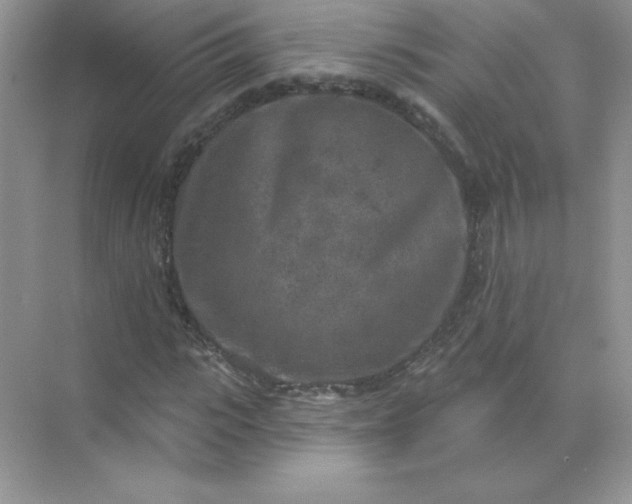 X0000071960919200607212248