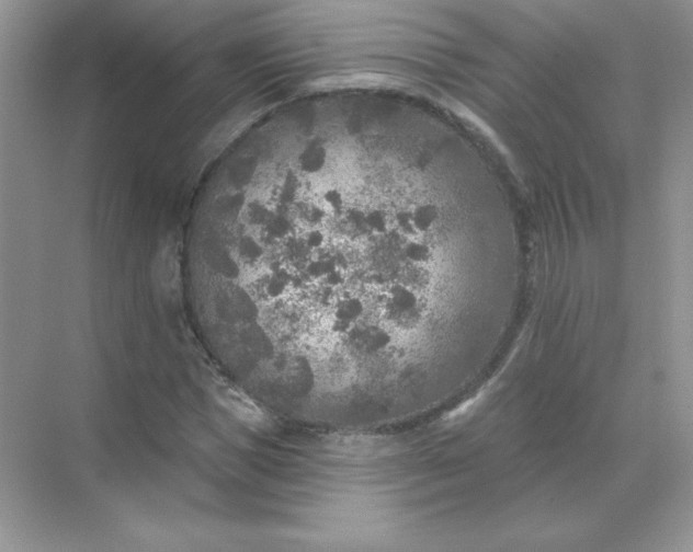 X0000071960921200607212248