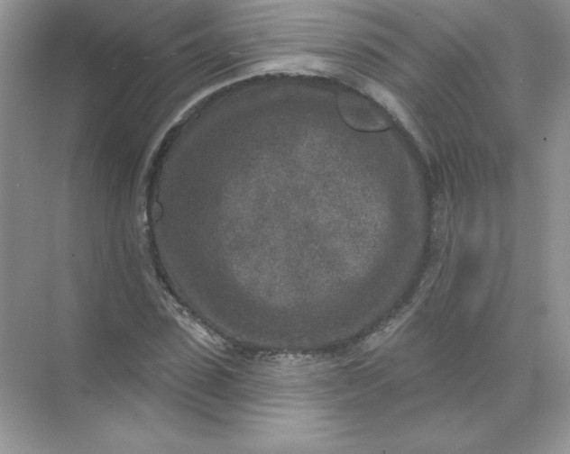 X0000071960923200607212248