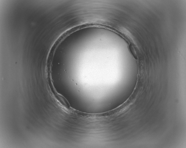 X0000071960924200607212248