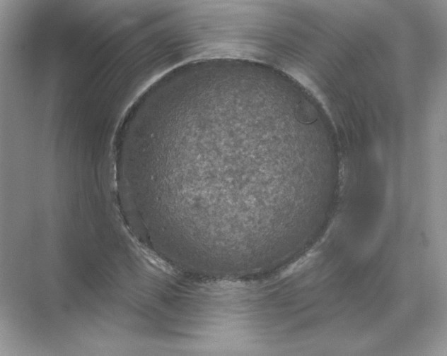 X0000071960925200607212248