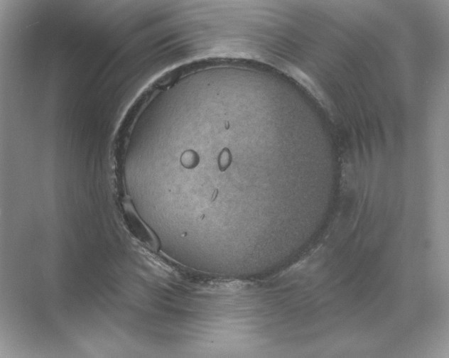 X0000071960926200607212248