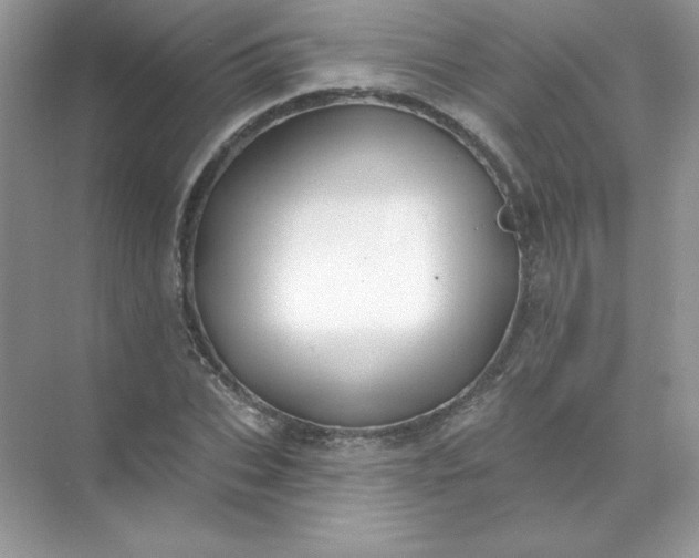 X0000071960927200607212248