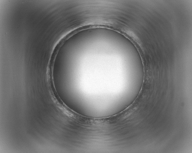 X0000071960928200607212248