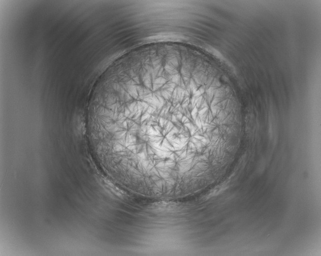 X0000071960929200607212248