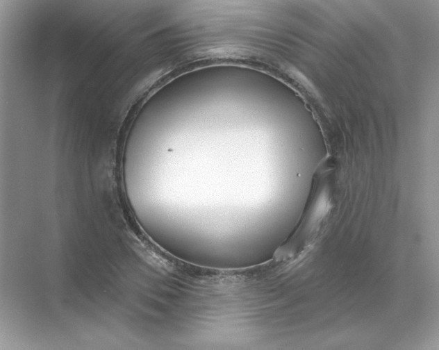 X0000071960930200607212248