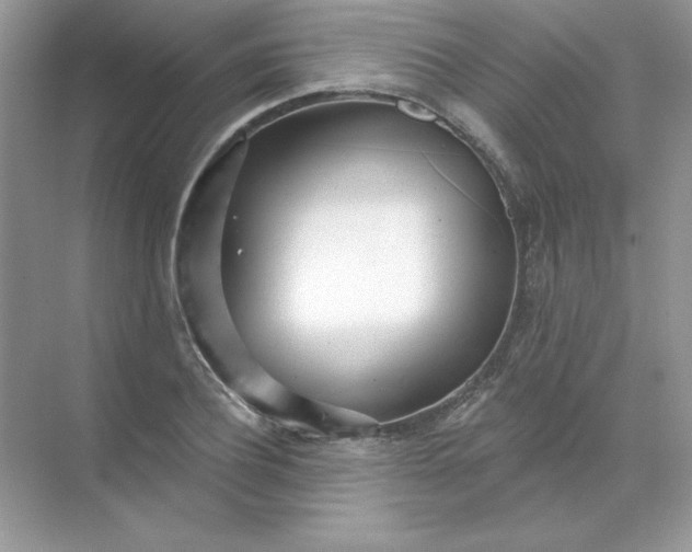 X0000071960932200607212248