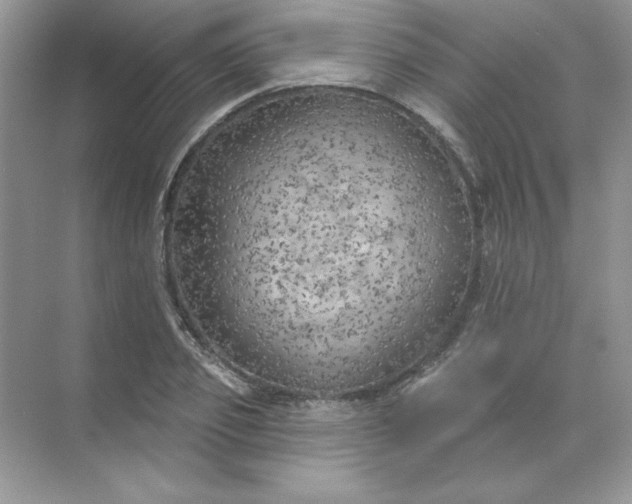 X0000071960933200607212248