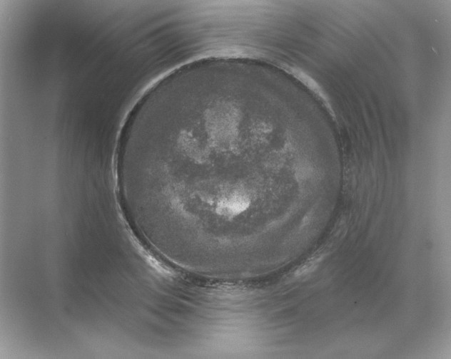 X0000071960935200607212248