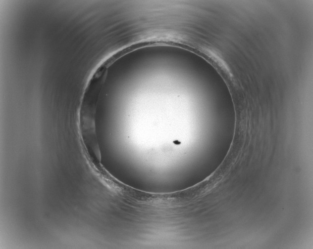 X0000071960936200607212248