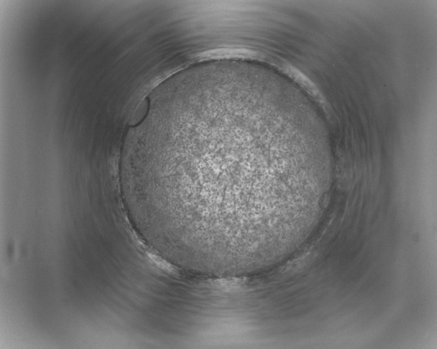 X0000071960937200607212248