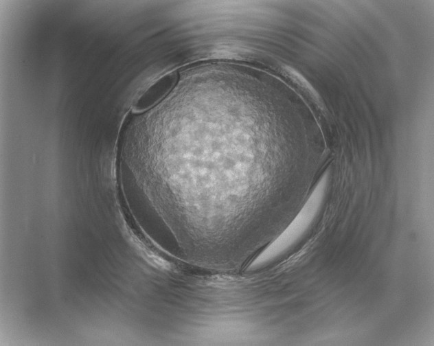 X0000071960938200607212248