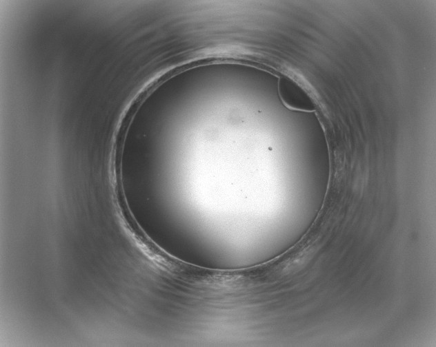 X0000071960939200607212249