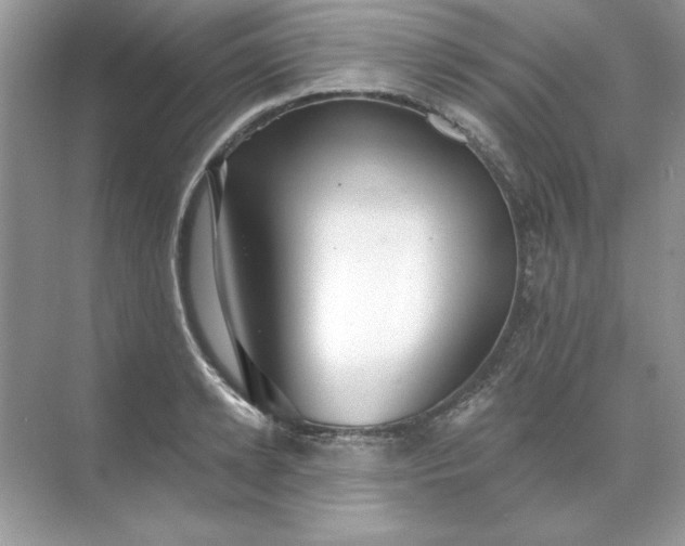 X0000071960942200607212249