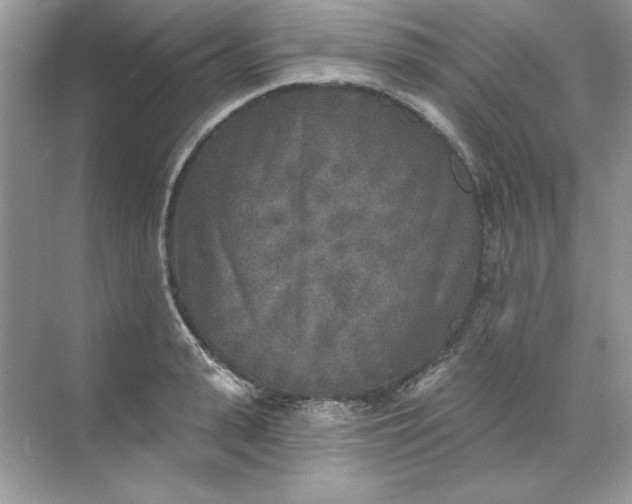 X0000071960943200607212249