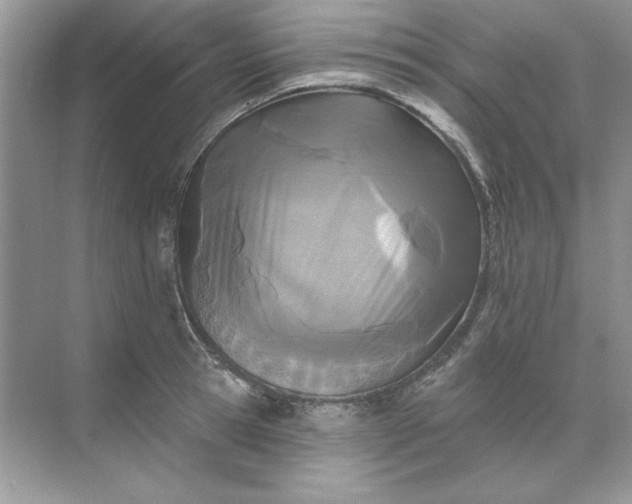 X0000071960945200607212249