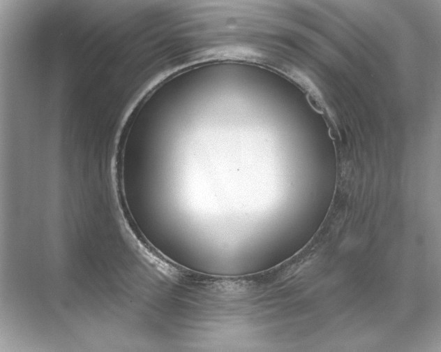 X0000071960947200607212249