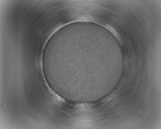 X0000071960950200607212249