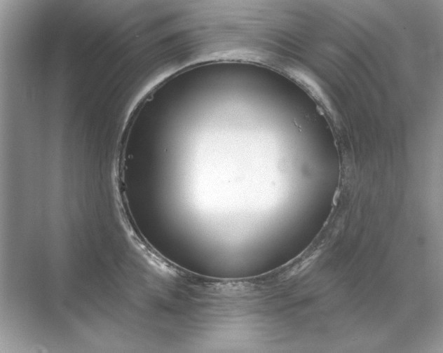 X0000071960952200607212249