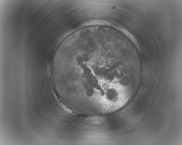 X0000071960953200607212249