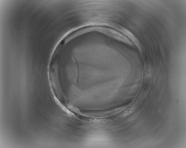 X0000071960958200607212249