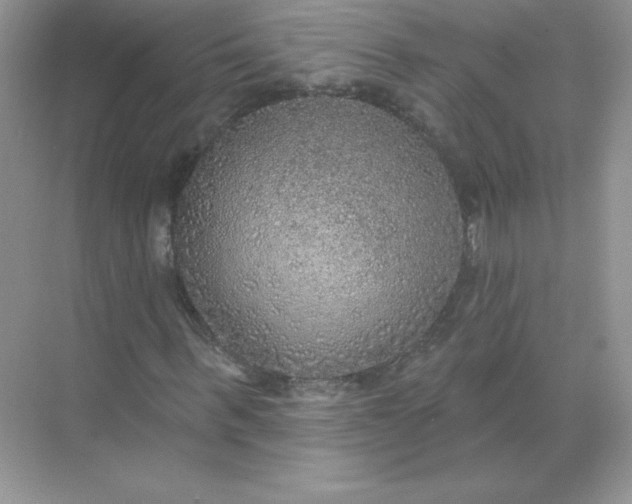 X0000071960963200607212248