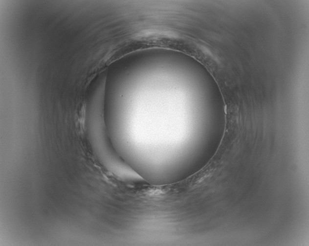 X0000071960965200607212248