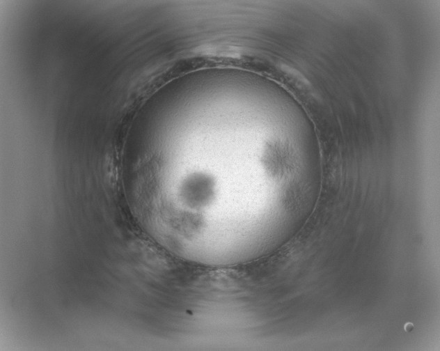 X0000071960966200607212248