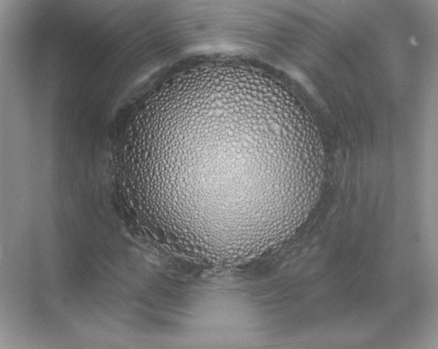 X0000071960967200607212248