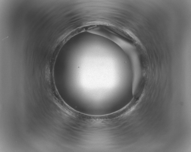 X0000071960969200607212248