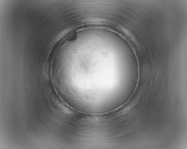 X0000071960970200607212248