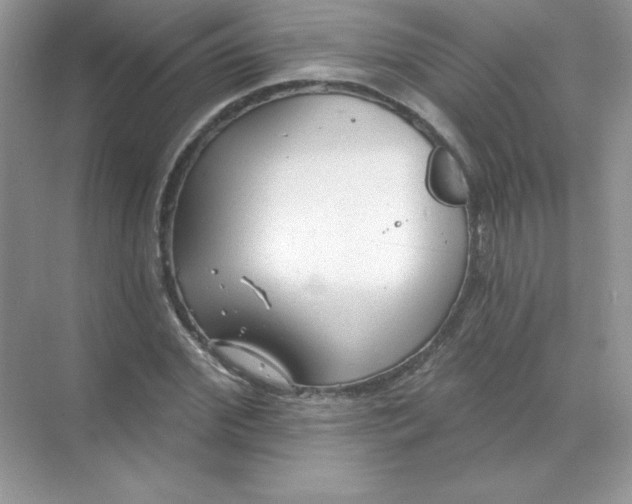 X0000071960972200607212248