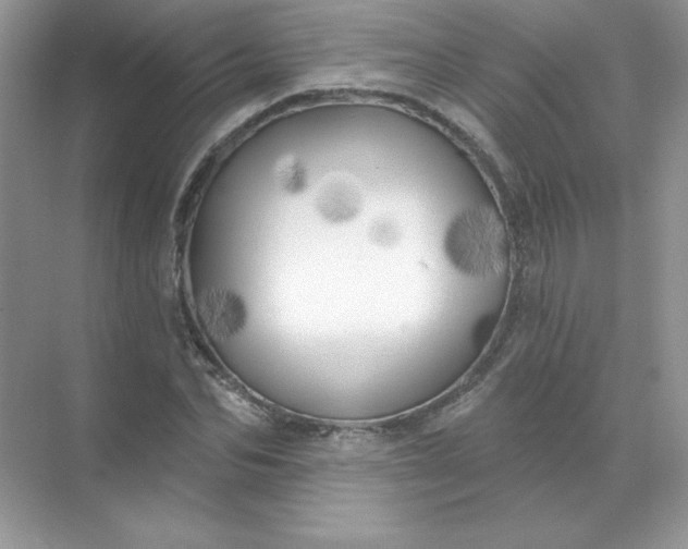 X0000071960974200607212248