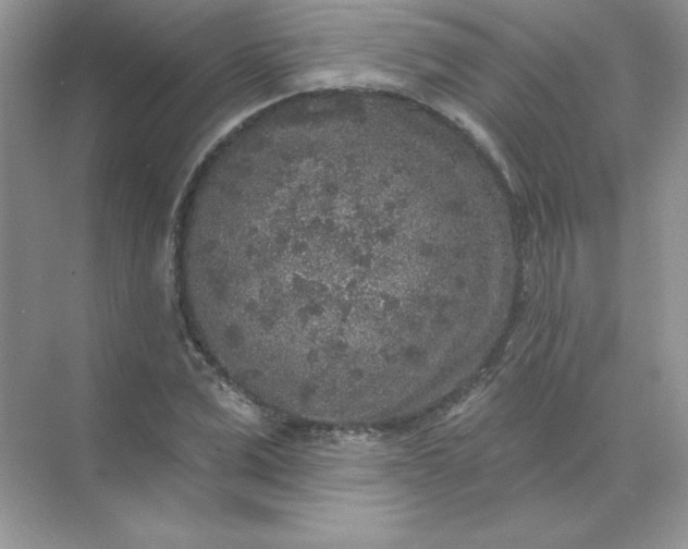 X0000071960975200607212248