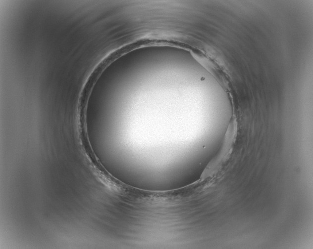 X0000071960976200607212248