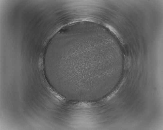 X0000071960977200607212248