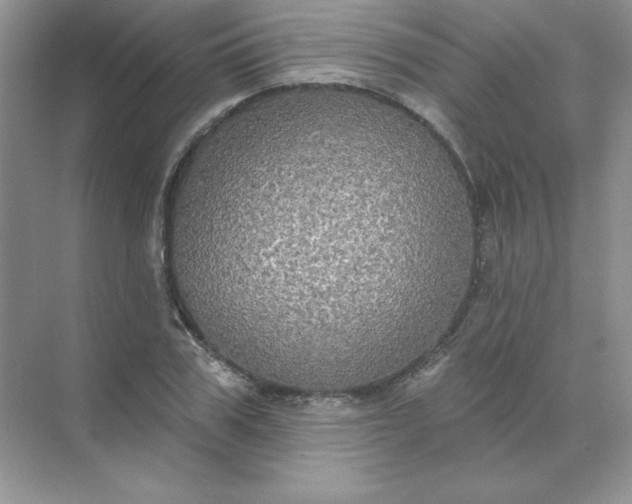 X0000071960979200607212248