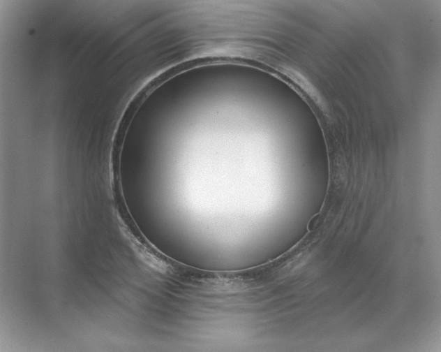 X0000071960980200607212248