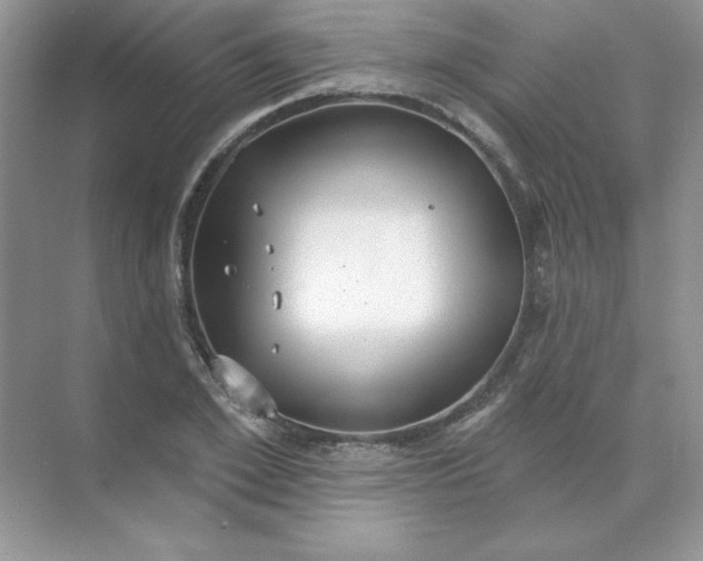 X0000071960981200607212248