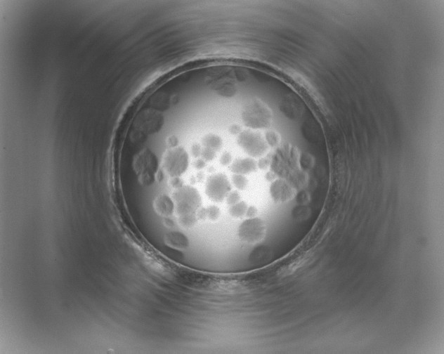 X0000071960982200607212248