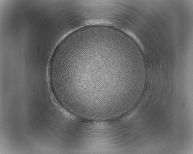 X0000071960983200607212248